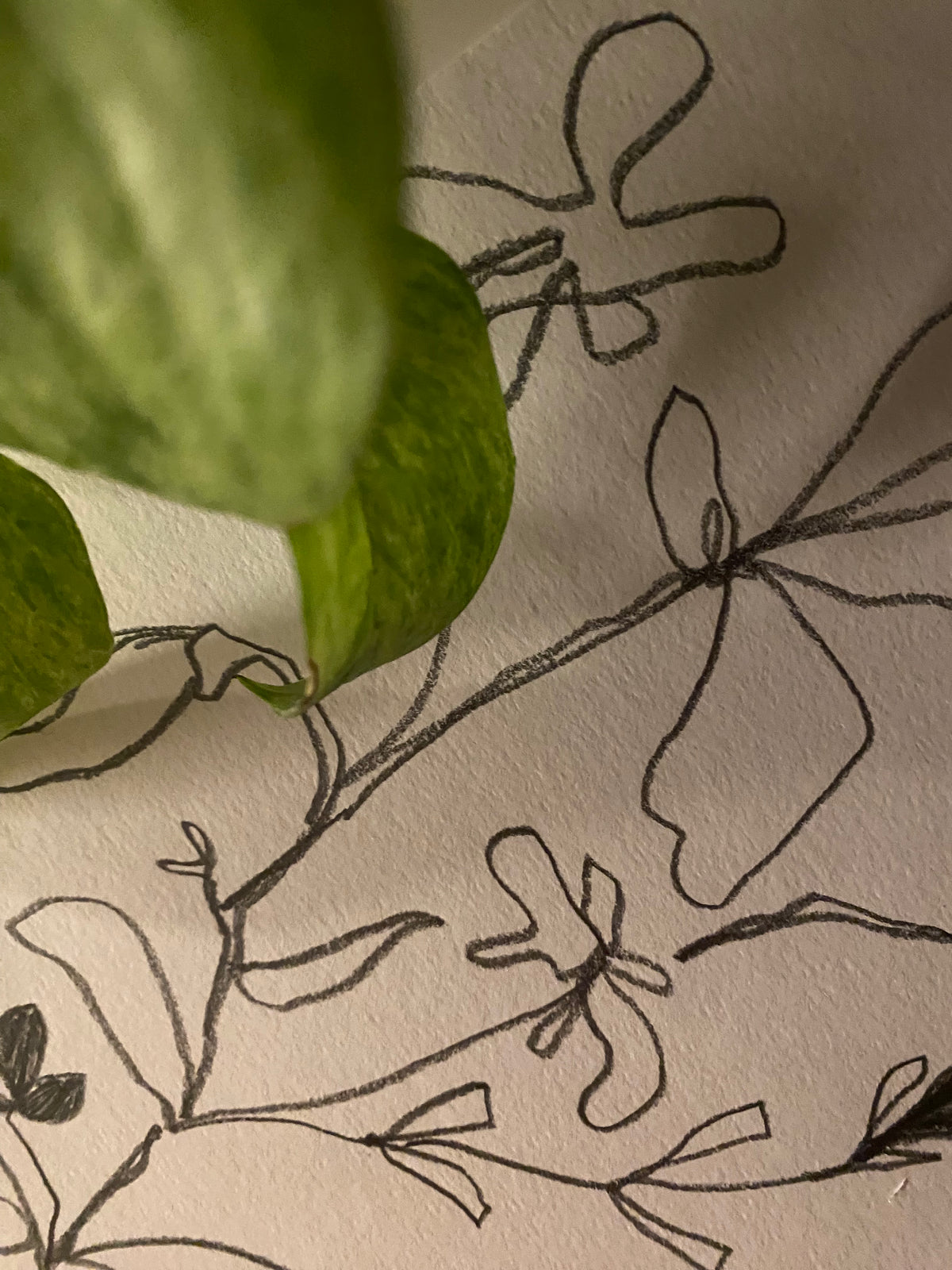 Community Garden: Floral Design and Sketches