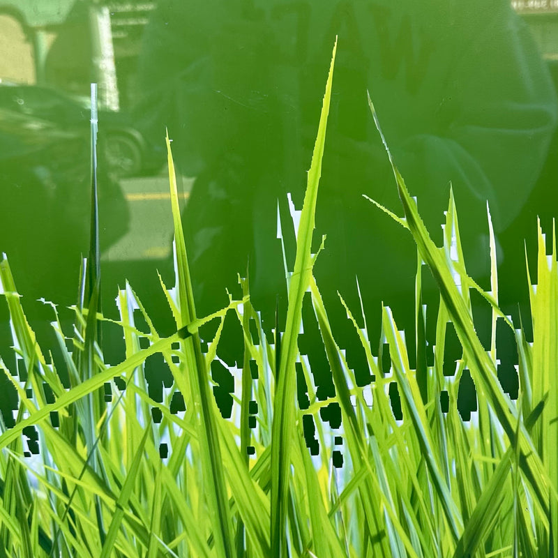 Touch Grass