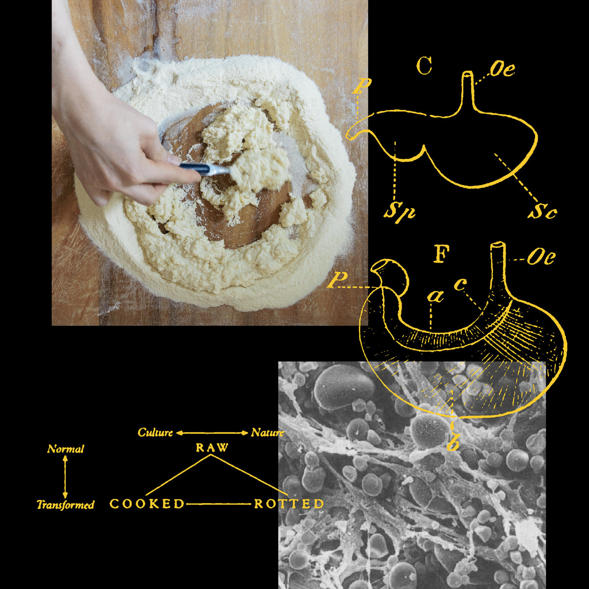 Pasta Metabolisms