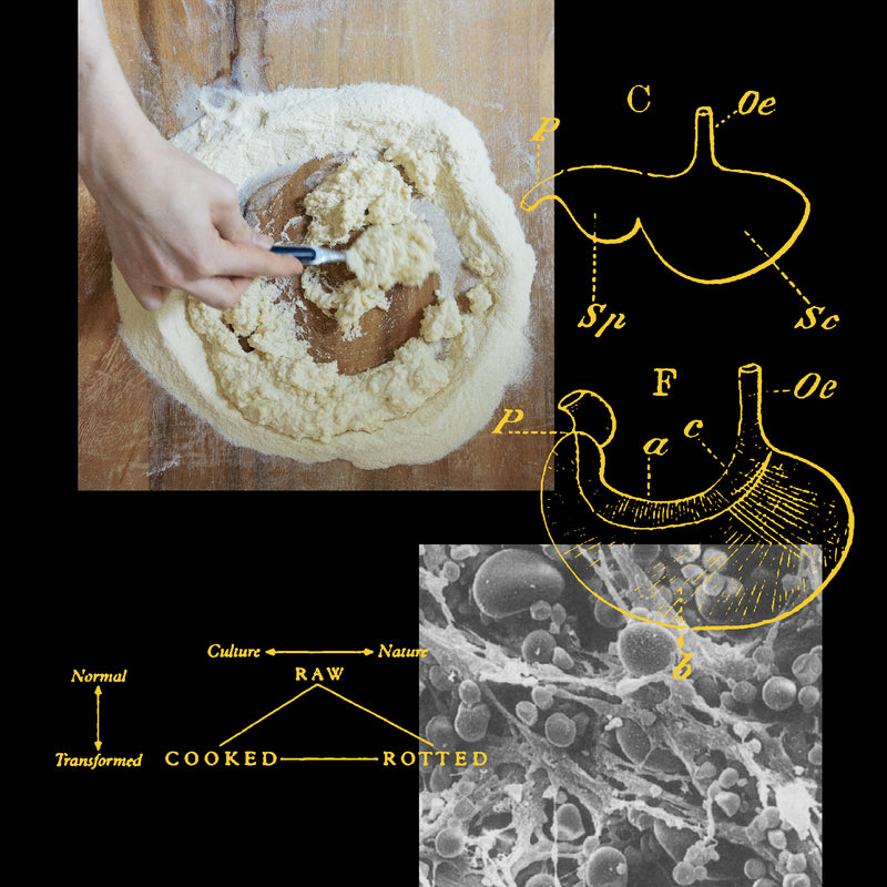 Pasta Metabolisms