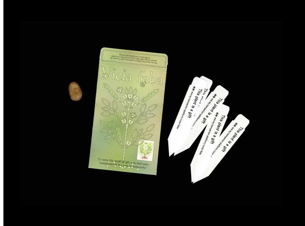 Seed Packet Launch