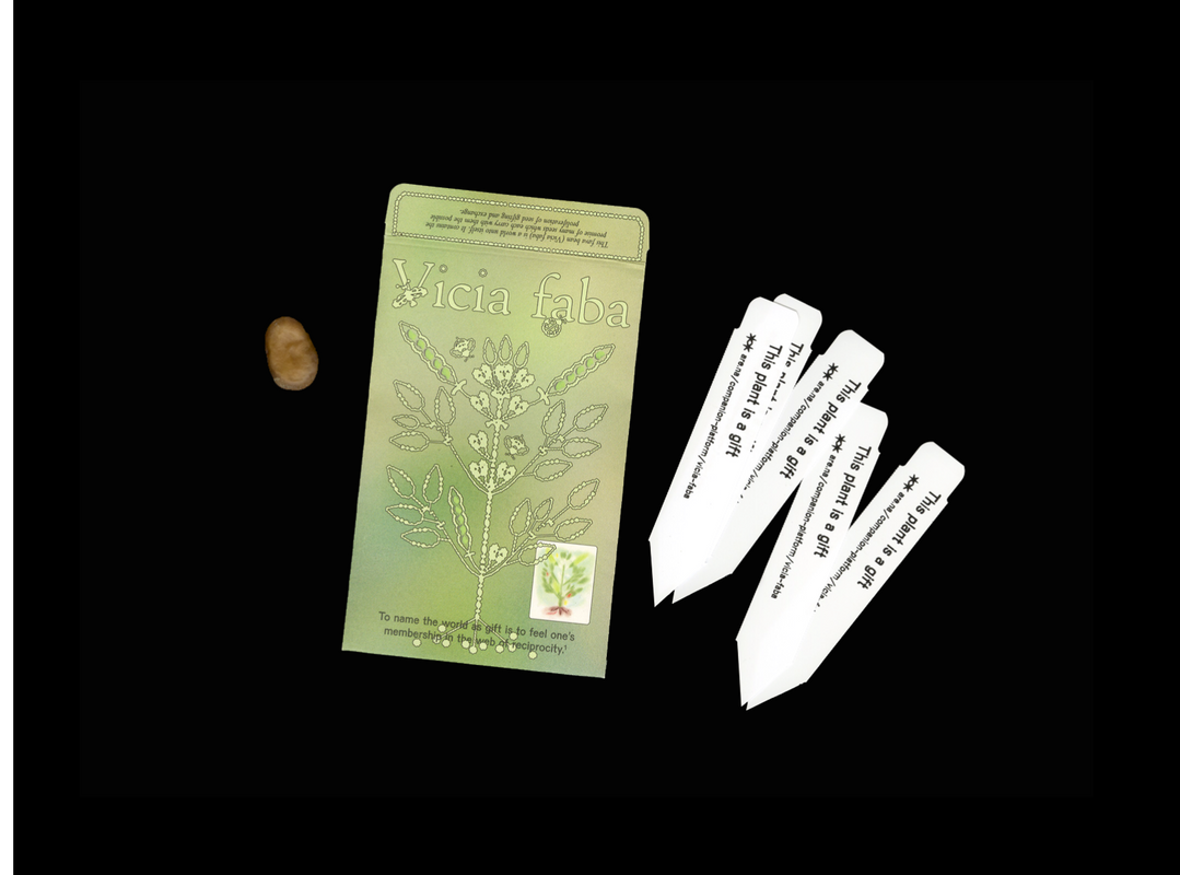 Seed Packet Launch