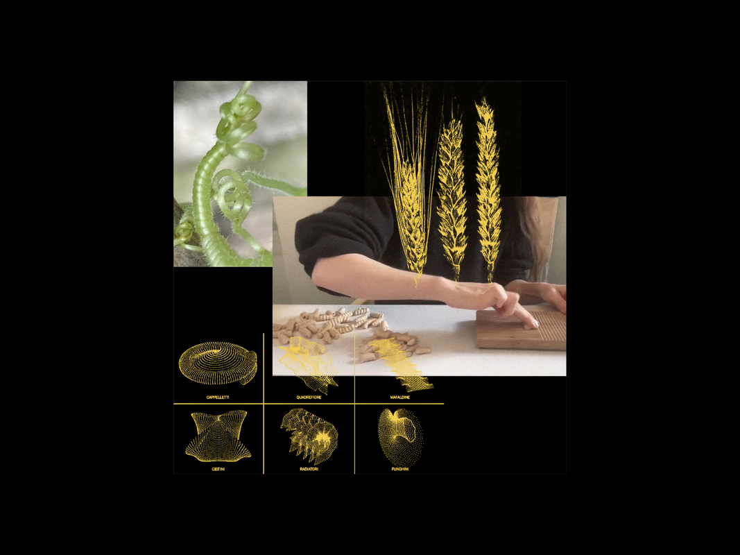 Pasta Ecologies
