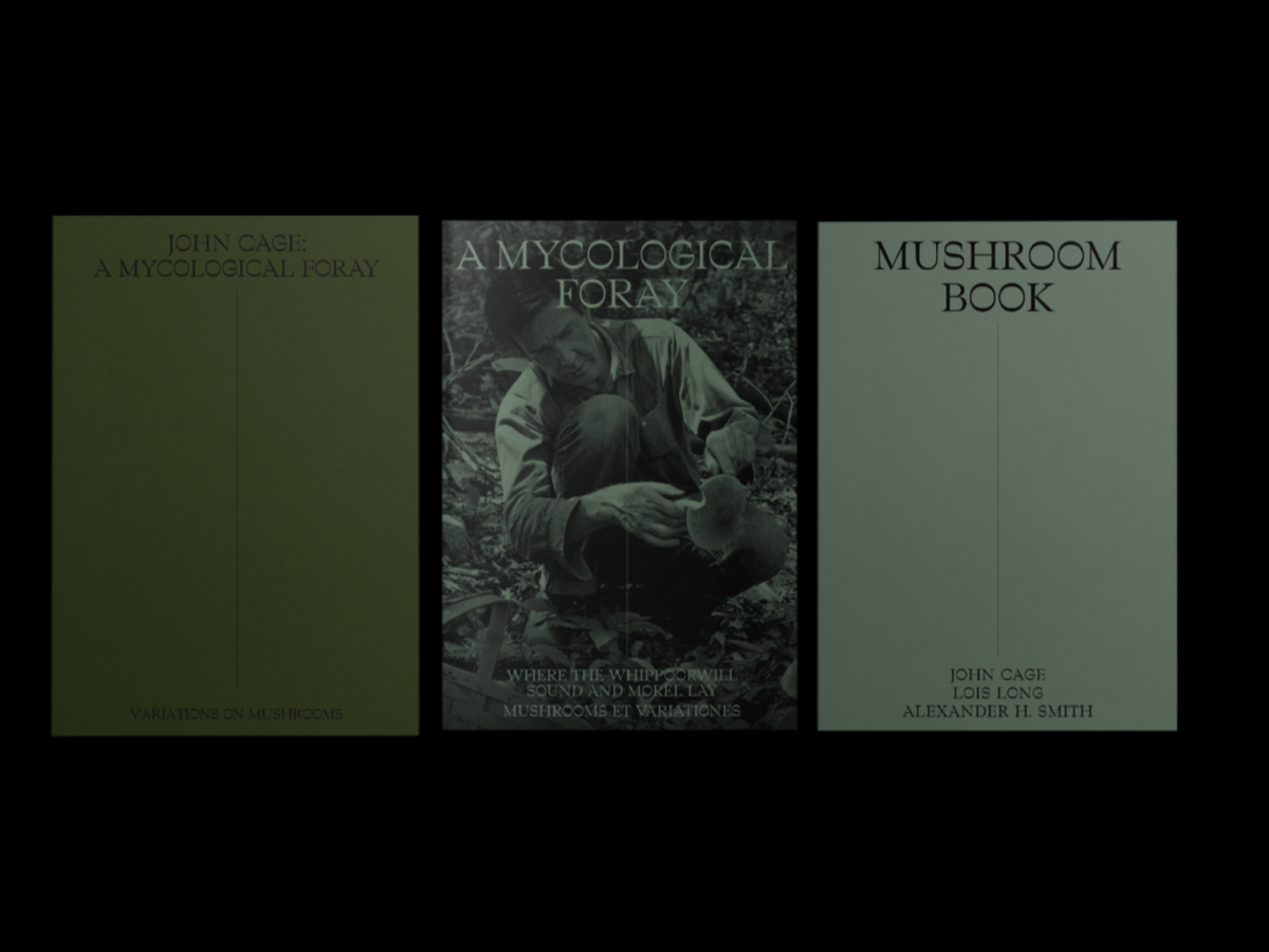 A Mycological Foray