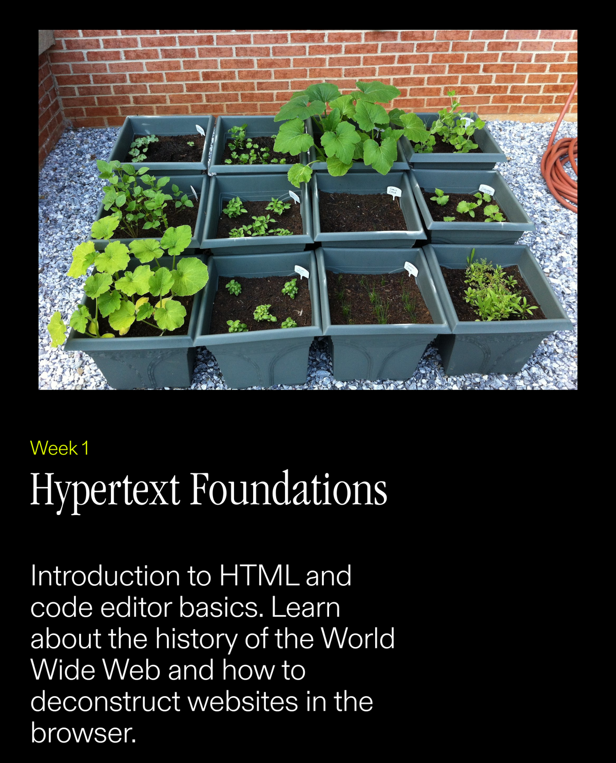 Intro to Coding for Designers