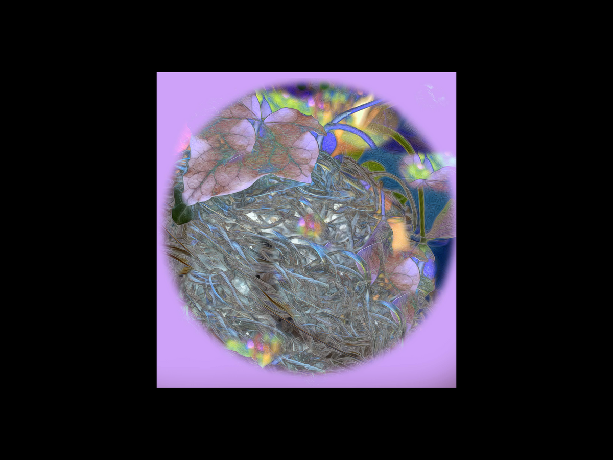 Queer Ecology & Design